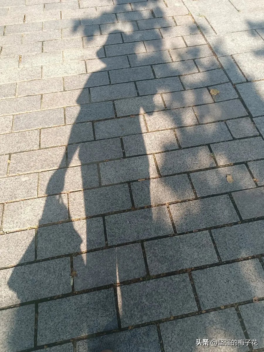 tyler dollar tweet media