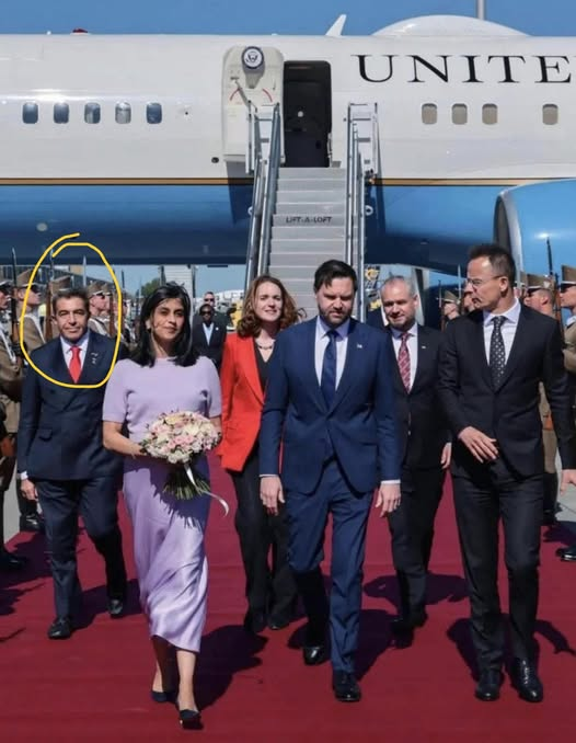 This photo was from this week in Hungary. The man with JD circled in yellow is Paolo Zampolli. He’s the former owner of the NYC KitKat Club and was major supplier of little girls (including Melania Trump) to Epstein. He had his own wife deported by ICE! This makes me WANT TO