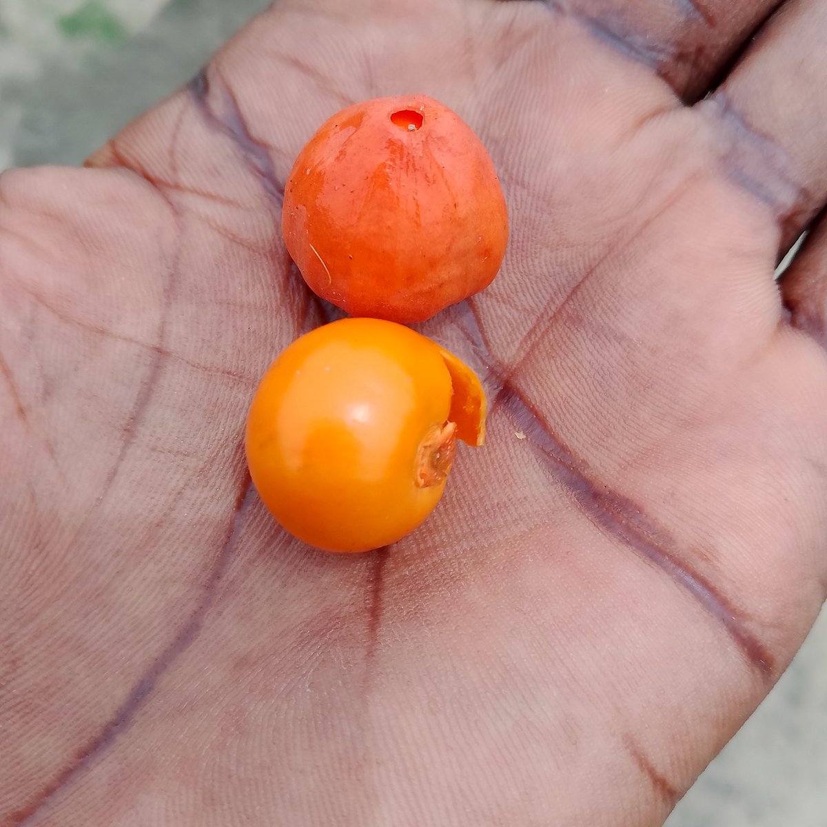 William Charles tweet media