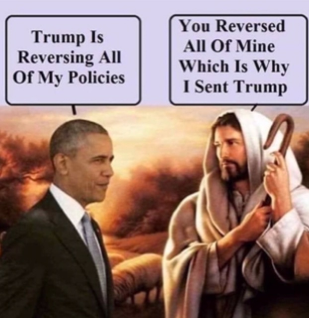 Liza Kamen tweet media