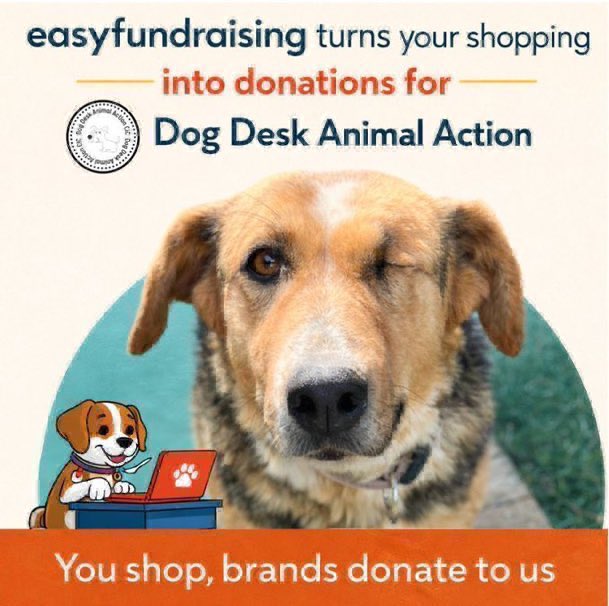 LisaClareRead2's tweet image. Every time I shop online I raise FREE donations for @DogDeskAction 🥳
It’s so easy, just sign up to @easyuk to turn your online shopping into free donations.
Plus never miss a donation with #easyfundraising donation 
reminder ⬇️

easyfundraising.org.uk/causes/dogdesk…

#dogs #k9hour #rehomehour