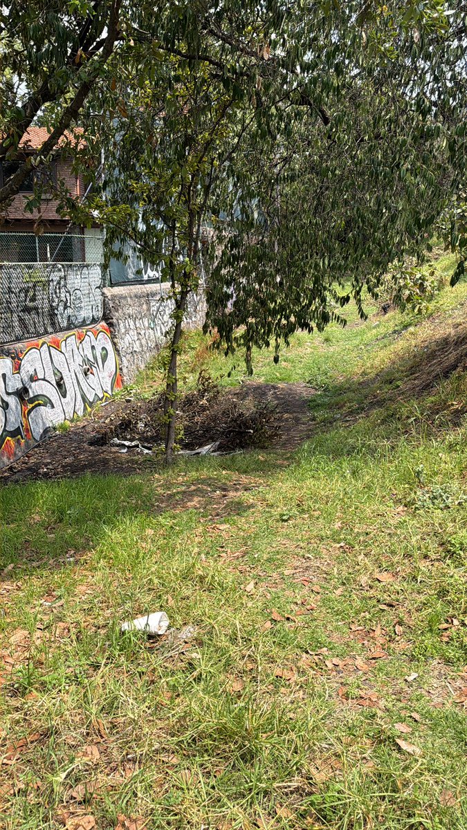 MiKaCeOficial's tweet photo. @TlalpanAl @TlalpanVecinos @DenunciaTlalpan más fotos donde taparon el hoyo de tormenta y hacen que se inunde. https://t.co/BFPblWRbrv