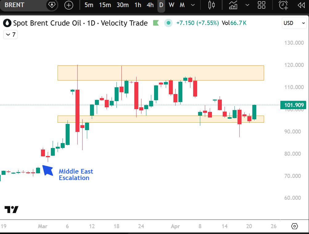 Curious | Macro Lens tweet media