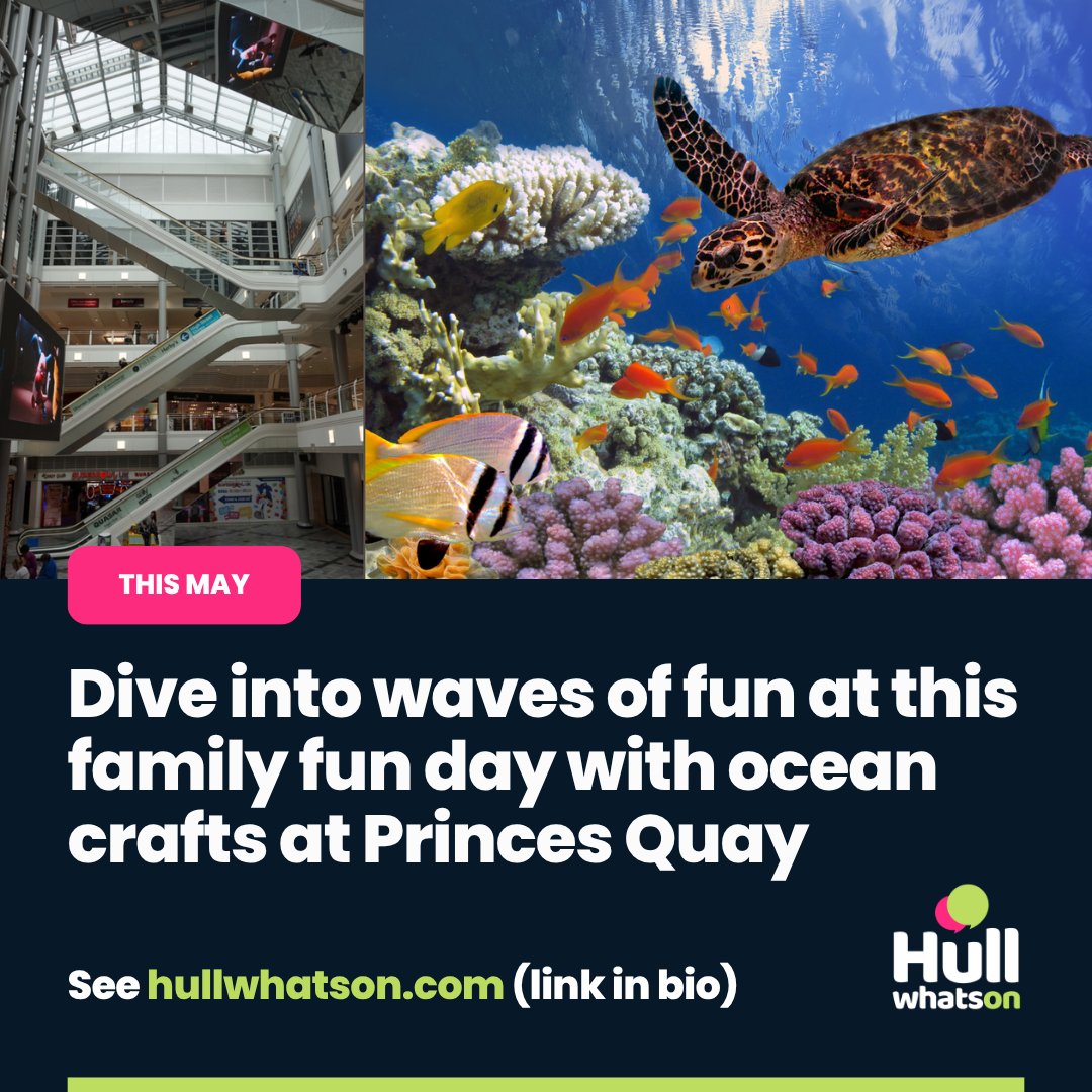 HULLwhatson's tweet photo. Dive into waves of fun with family activities at this Under The Sea Family Fun Day! 🤩
🦈Photo Opportunities
💃Party Dances
🎨 Arts and Crafts
🏰Bouncy Castle Fun

See website or 👉 https://t.co/BZFACRoV0J

@princesquayhull https://t.co/sab8NzCB6c