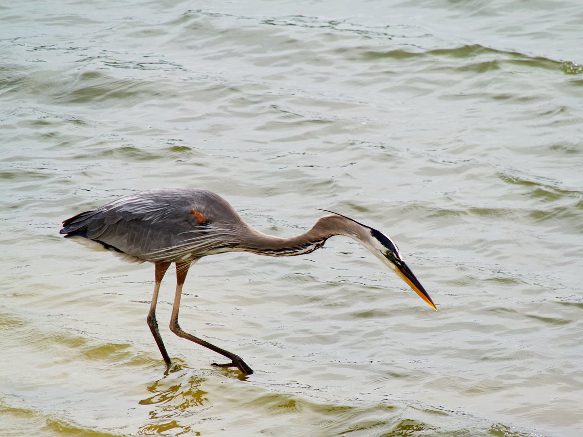 David K 🤔 tweet media