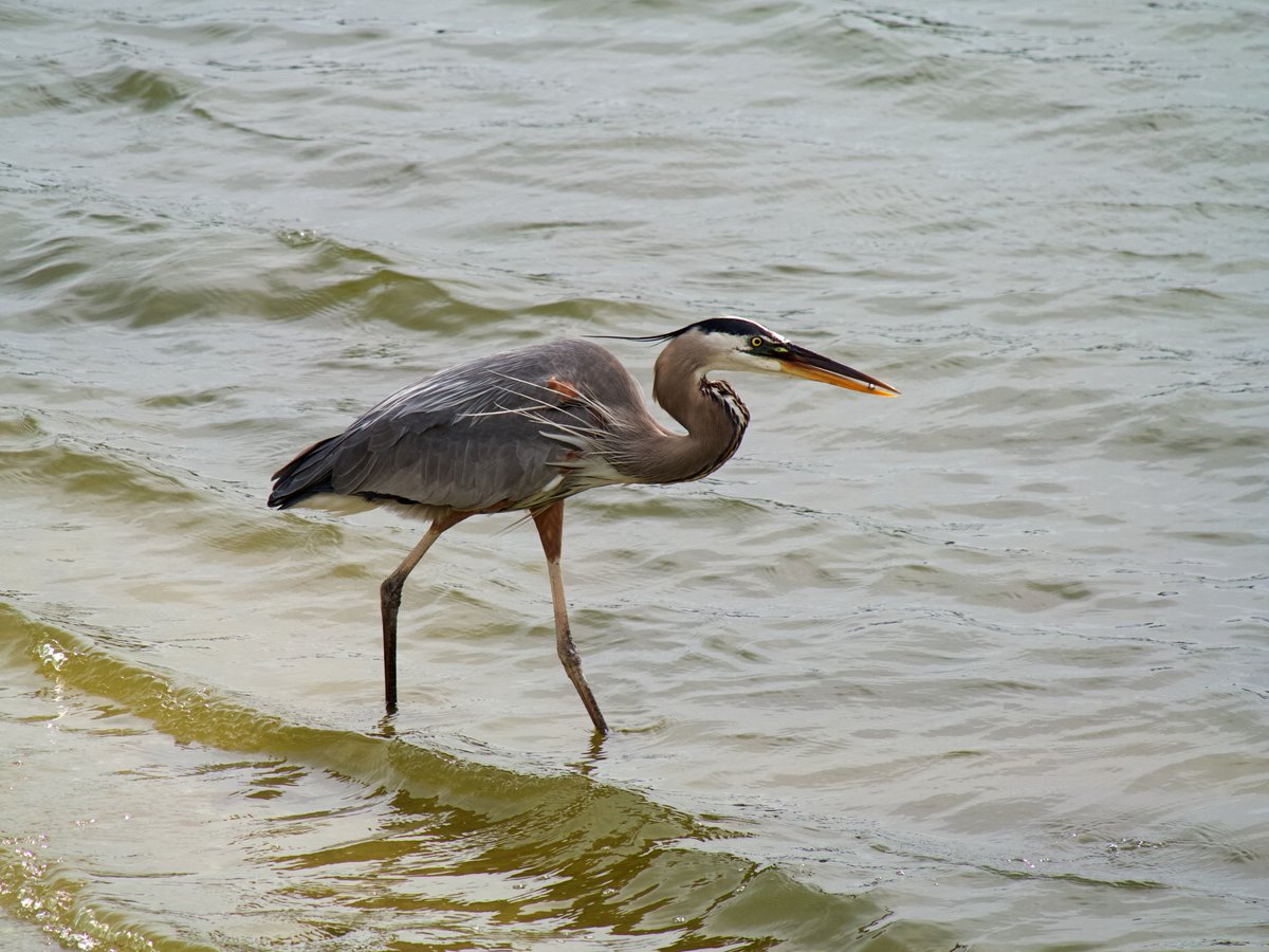 David K 🤔 tweet media