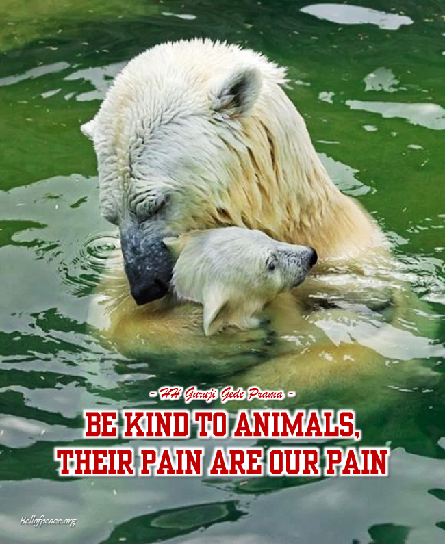 gede_prama's tweet image. Be kind to animals... #bali #love #peace #meditation #JoyTrain
bellofpeace.org
Photo courtesy: Pinterest