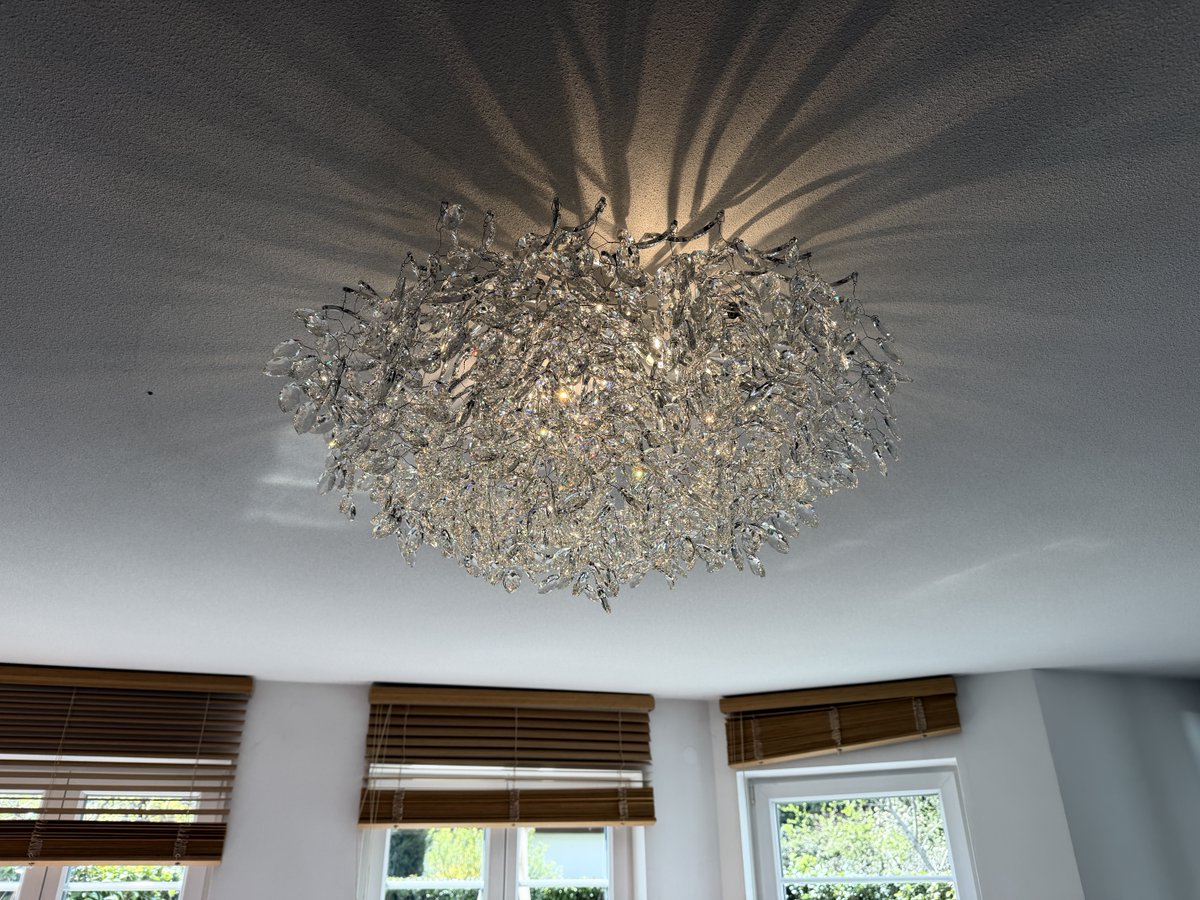 Eva Maria Strobl tweet media