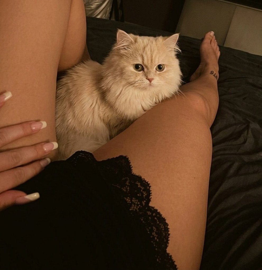 مُولتِن كيك 🥞🫦 tweet media