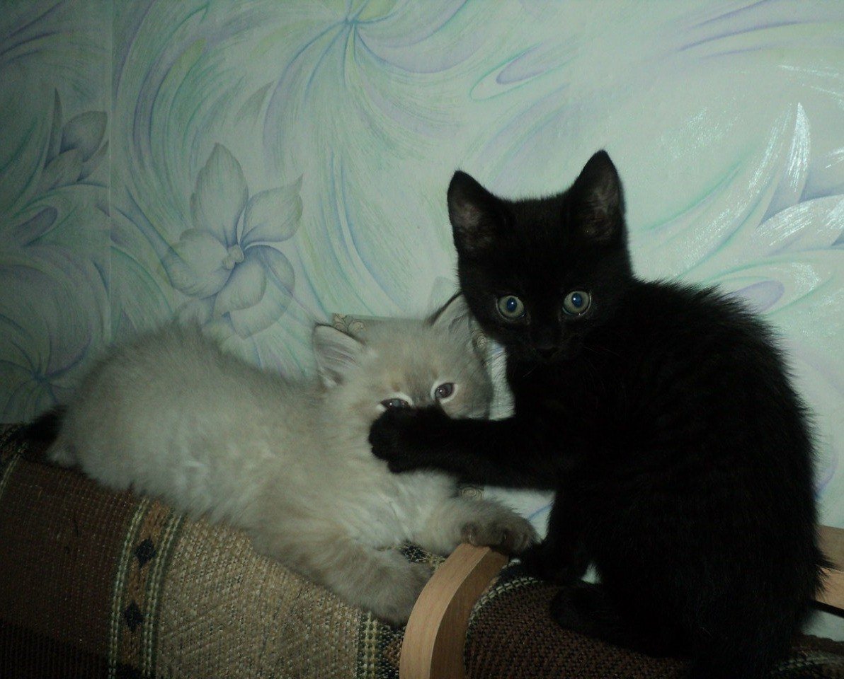 kawu (@solitarybeach33) on Twitter photo 