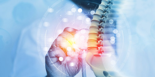 TheDuffyFirm's tweet image. The unknown healer: a surprising new discovery reveals how the body’s own cells may quietly support recovery after spinal cord injury. duffyfirm.com/blog/surprise-…

#Spinal #Cord #Injury #Philadelphia #Lawyers