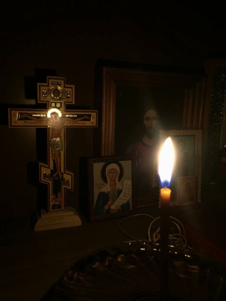 fleurs .⋆♱ 🇻🇦 tweet media