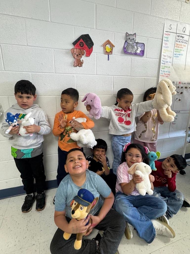 WashingtonD50's tweet photo. A- Animal Day 🐄🐍🐿️🐧🦓🦒🦍🦈 #ABCCountdown https://t.co/uJMcvAJWHA