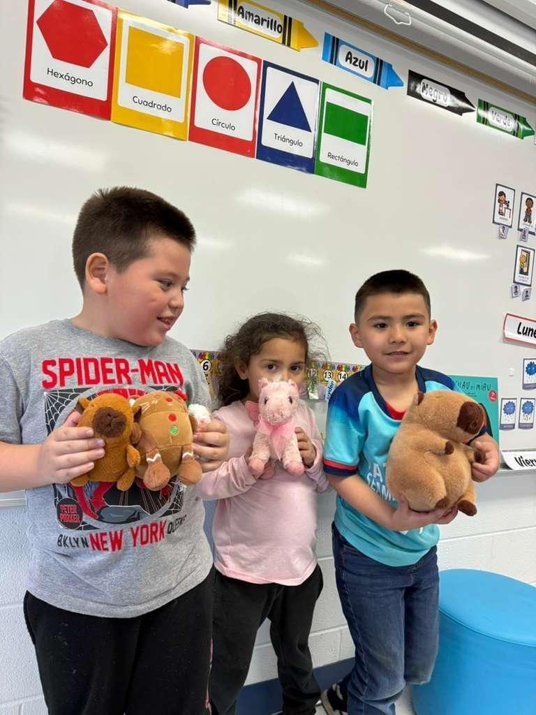 WashingtonD50's tweet photo. A- Animal Day 🐄🐍🐿️🐧🦓🦒🦍🦈 #ABCCountdown https://t.co/uJMcvAJWHA