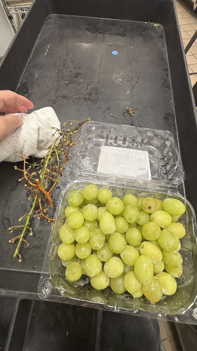 fartenthusiast9's tweet image. #GRAPES!!!
