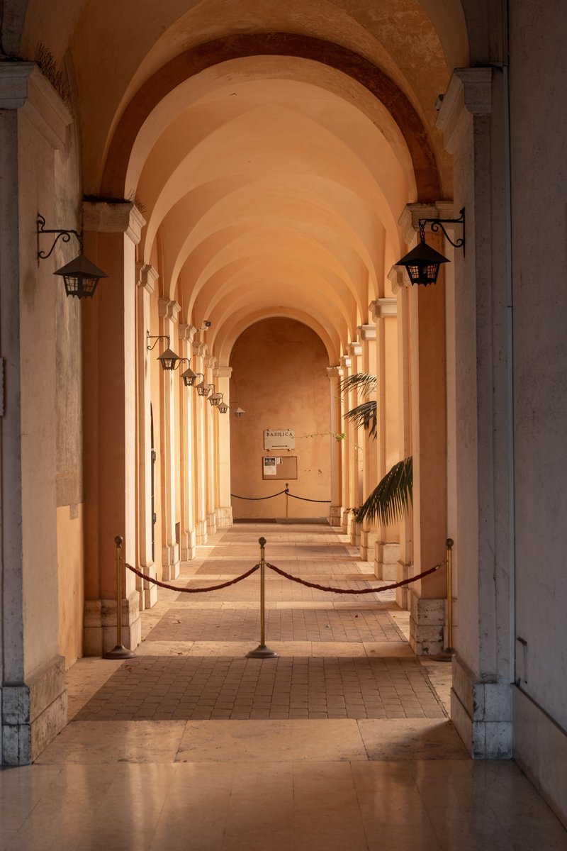 Raphael Barberi📷 tweet media