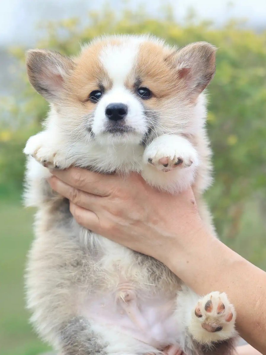 Диана Меркер tweet media