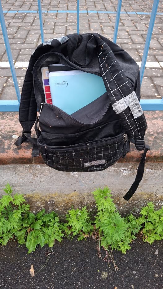 Pressenza_fr's tweet image. La violence scolaire n’existe pas, mais la violence sociale existe. #Argentine #Chili #ViolenceàLécole #ViolenceSociale pressenza.com/fr/2026/04/la-…