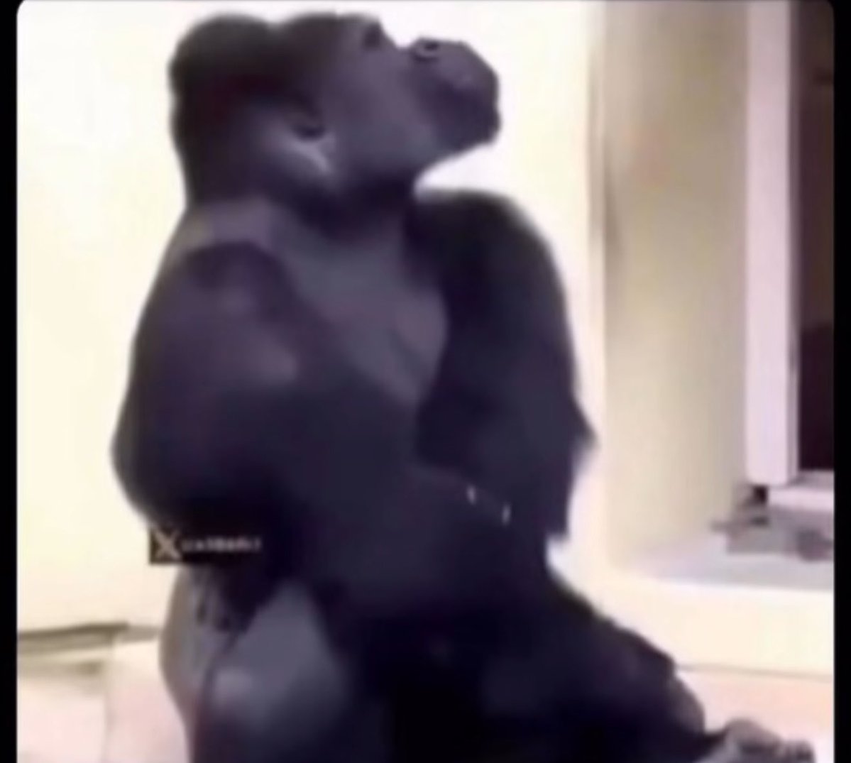 ★★★ tweet media