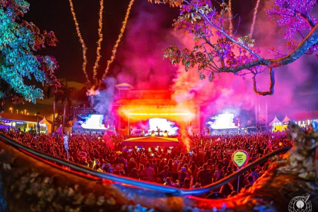 The Daily Frequency tweet media