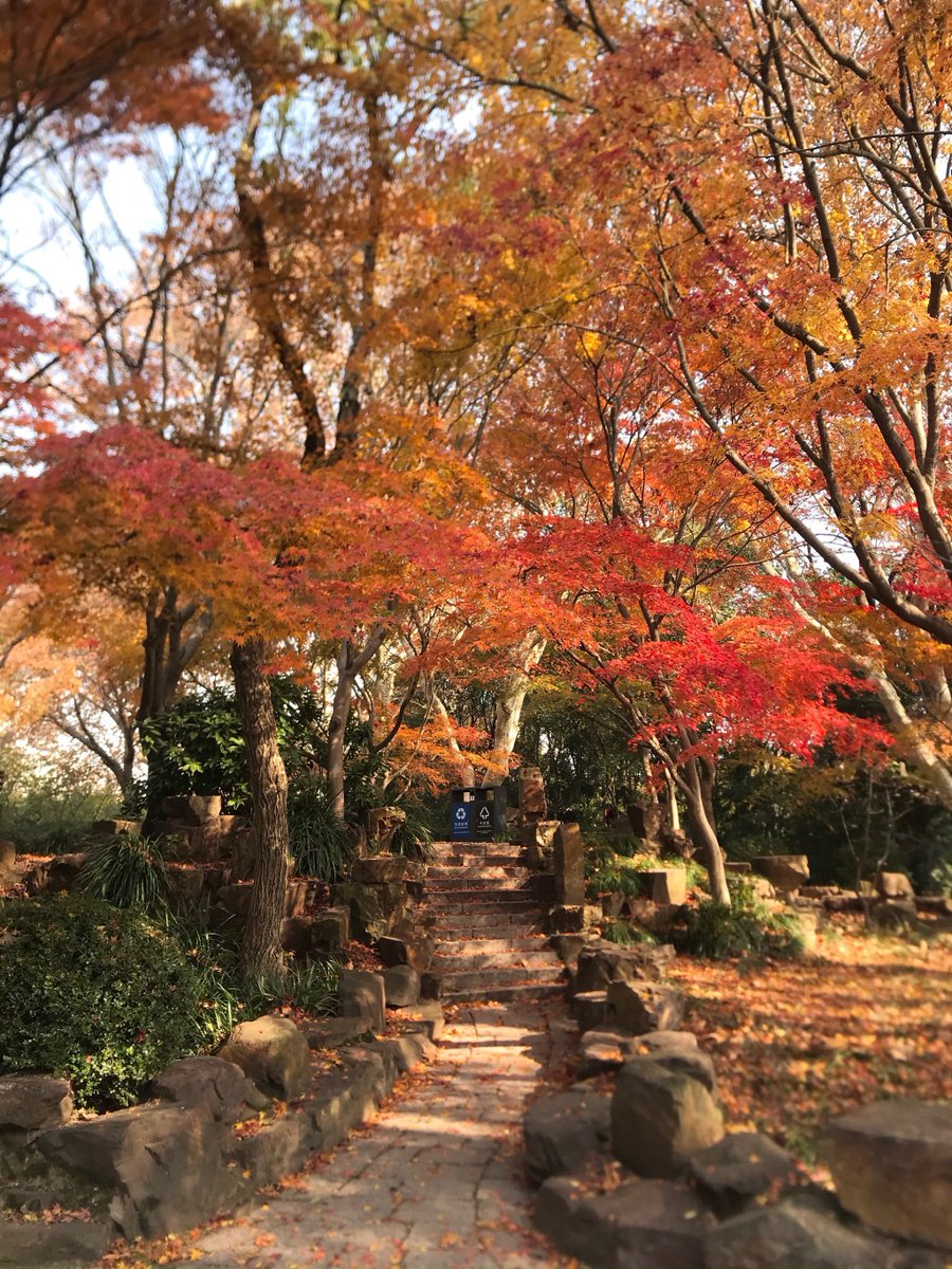 Лиля Калиева tweet media