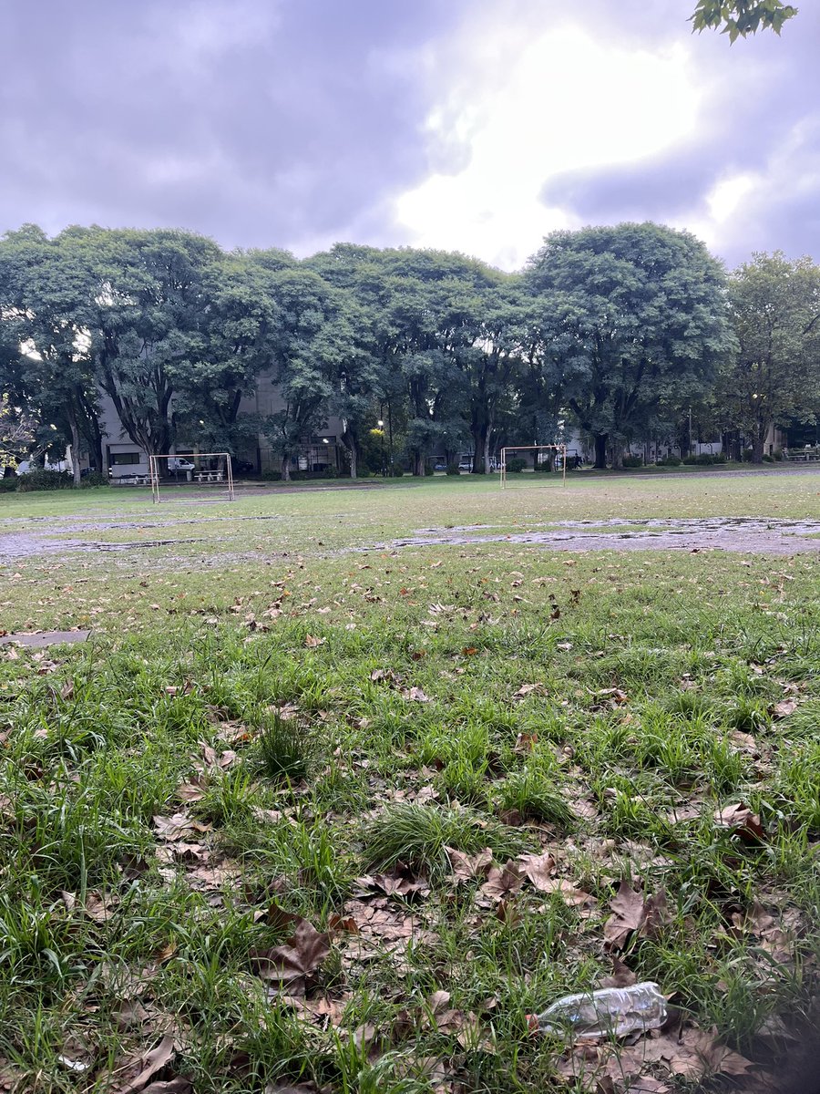 Hagov tripero tweet media