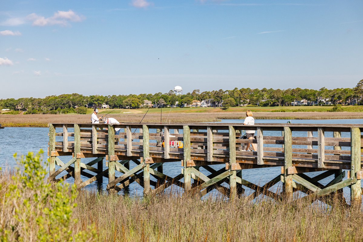 North Myrtle Beach tweet media