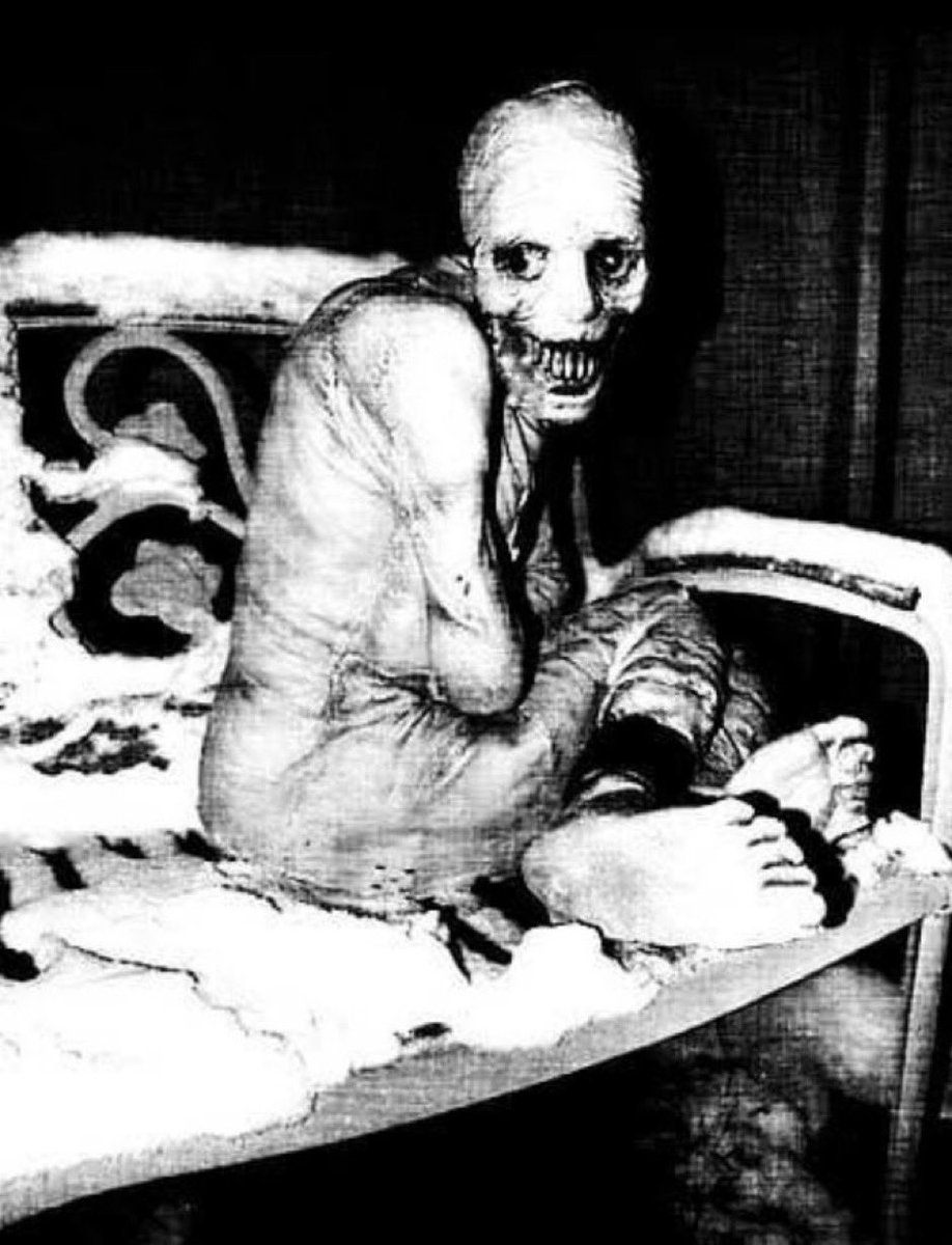 🌊Lilibet🪼 tweet media