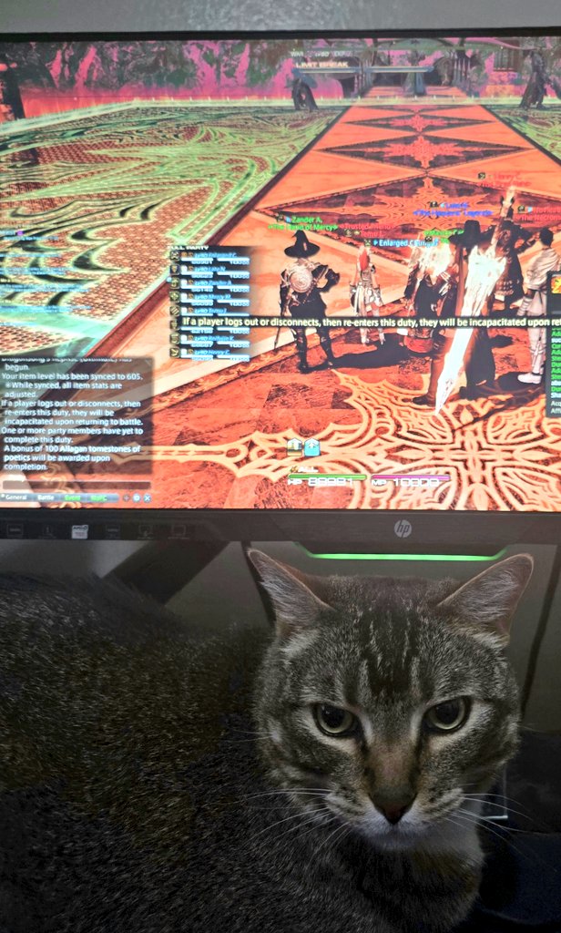 enlarged chungus tweet media