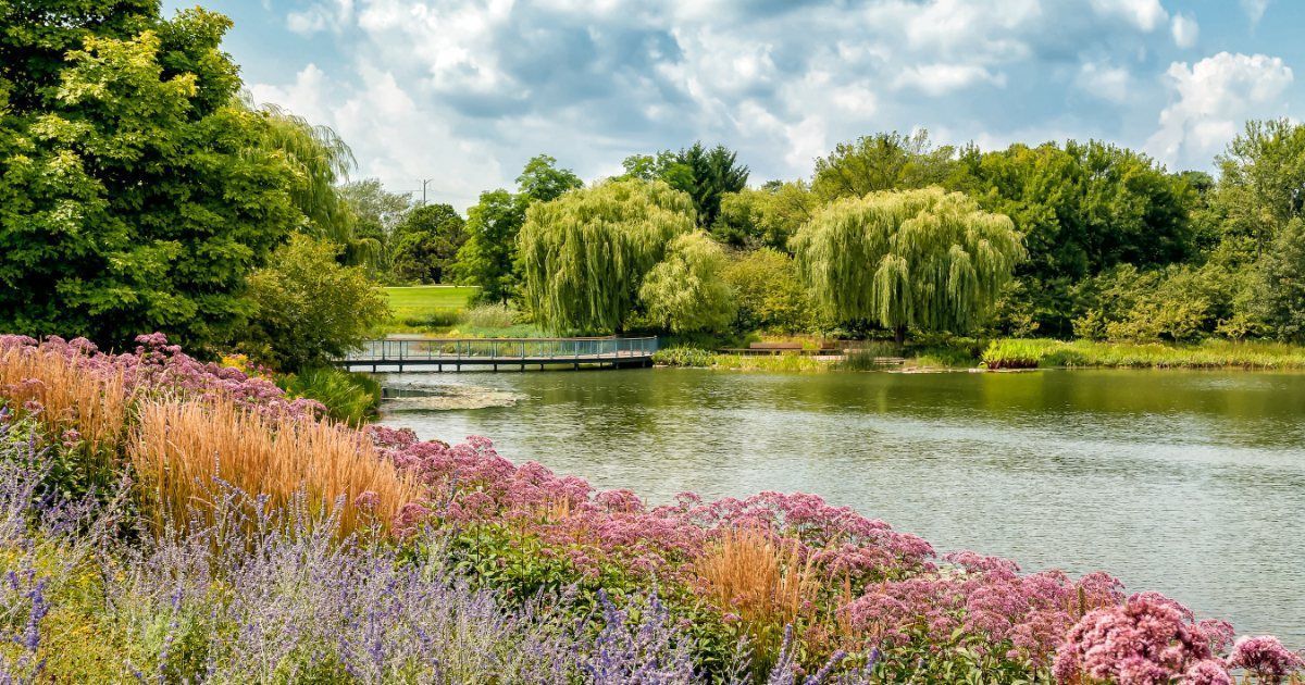 PNS_News's tweet image. A new analysis from @Center4USA finds communities of color are 3× more likely to be in nature‑deprived areas than white communities. In IL, 70% of low‑income households live in these areas, often alongside pollution and higher health risks. 📢buff.ly/JvamvCd
#PublicHealth