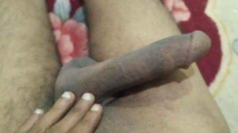 جاد بصنعاء tweet media