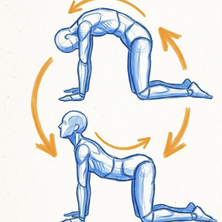 Peakr – Perform to Your Peak tweet media