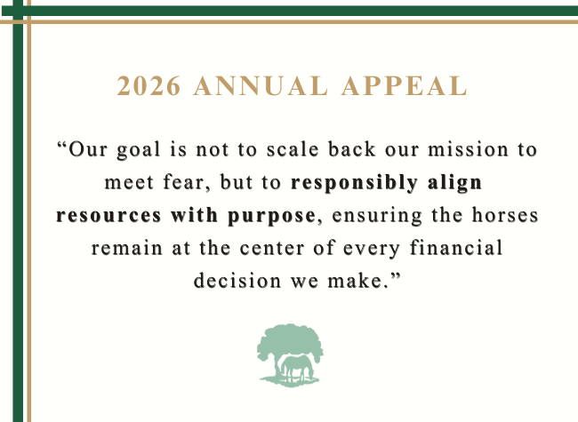 trfinc's tweet photo. Here is a snapshot of our 2026 Annual Appeal Letter that highlights the future of the TRF. Be part of our mission this year💚 https://t.co/5IkOunRlaa 

#AnnualAppeal #CommunityImpact #GiveBack #thoroughbredretirementfoundation #thoroughbred #racehorses #aftercare https://t.co/FU0KmYYaIA