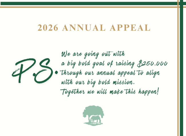 trfinc's tweet photo. Here is a snapshot of our 2026 Annual Appeal Letter that highlights the future of the TRF. Be part of our mission this year💚 https://t.co/5IkOunRlaa 

#AnnualAppeal #CommunityImpact #GiveBack #thoroughbredretirementfoundation #thoroughbred #racehorses #aftercare https://t.co/FU0KmYYaIA