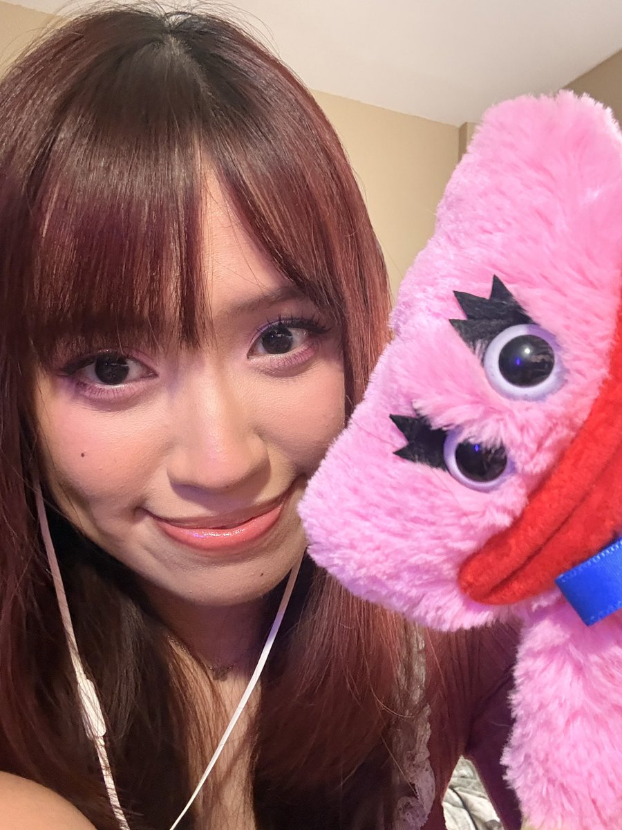 tonk 🪤🍄 tweet media