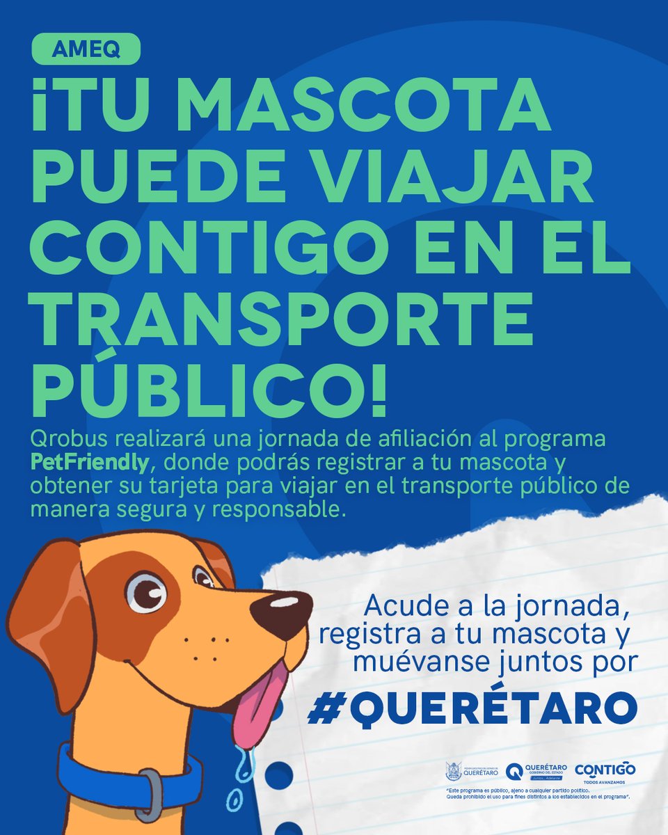 gobqro's tweet image. ¡Seguimos mejorando la #movilidad para todos! 🚌

Afilia a tu mascota al programa #petfriendly de #Qrobus ¡y haz que viaje #contigo en el transporte público de manera responsable y segura! 🐾

¡Muévanse juntos por #Querétaro! 🐶