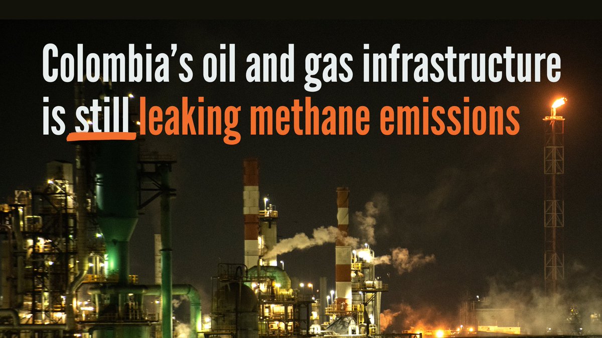 Environmental Investigation Agency U.S. tweet media