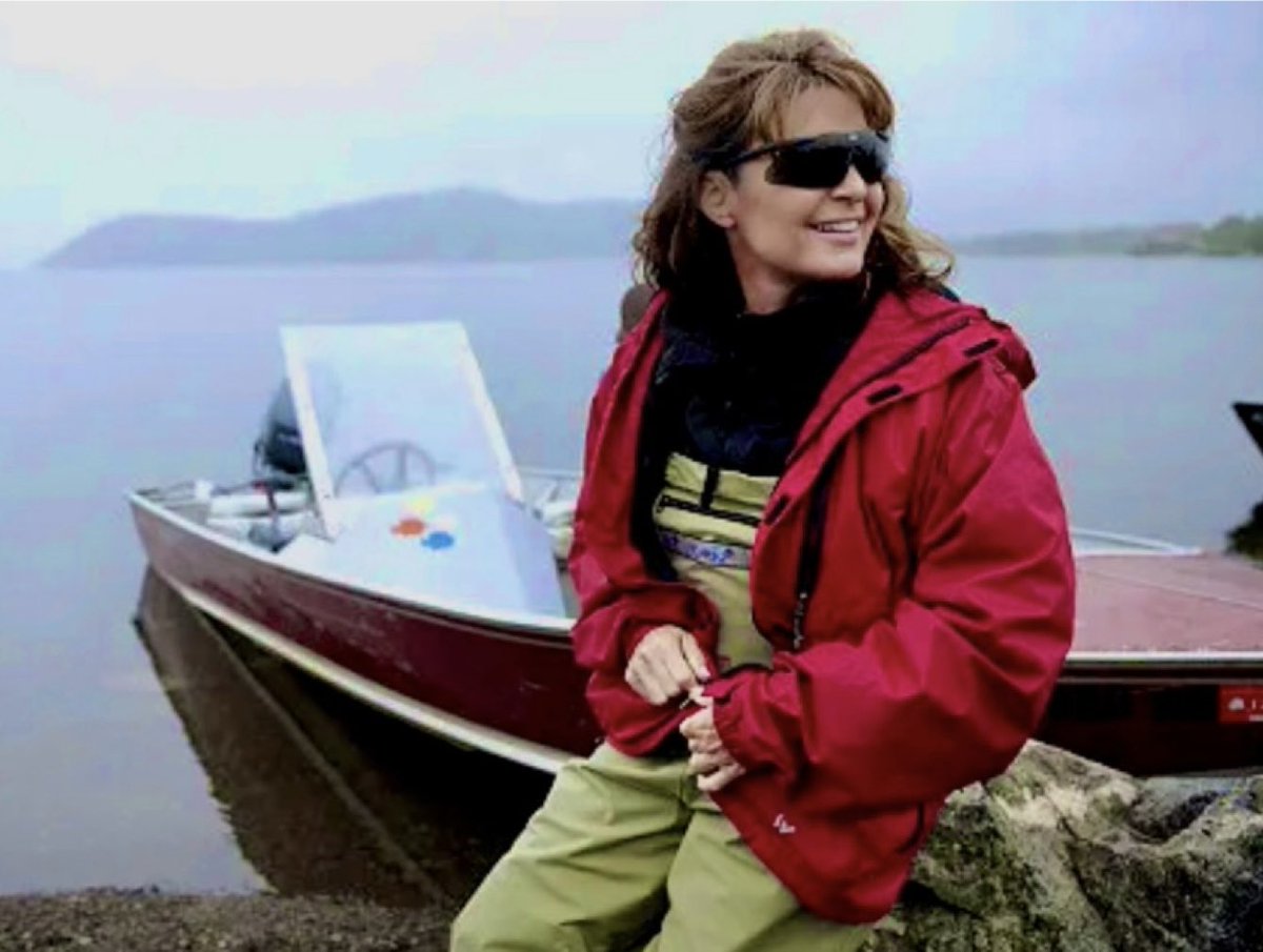 Sarah Palin tweet media