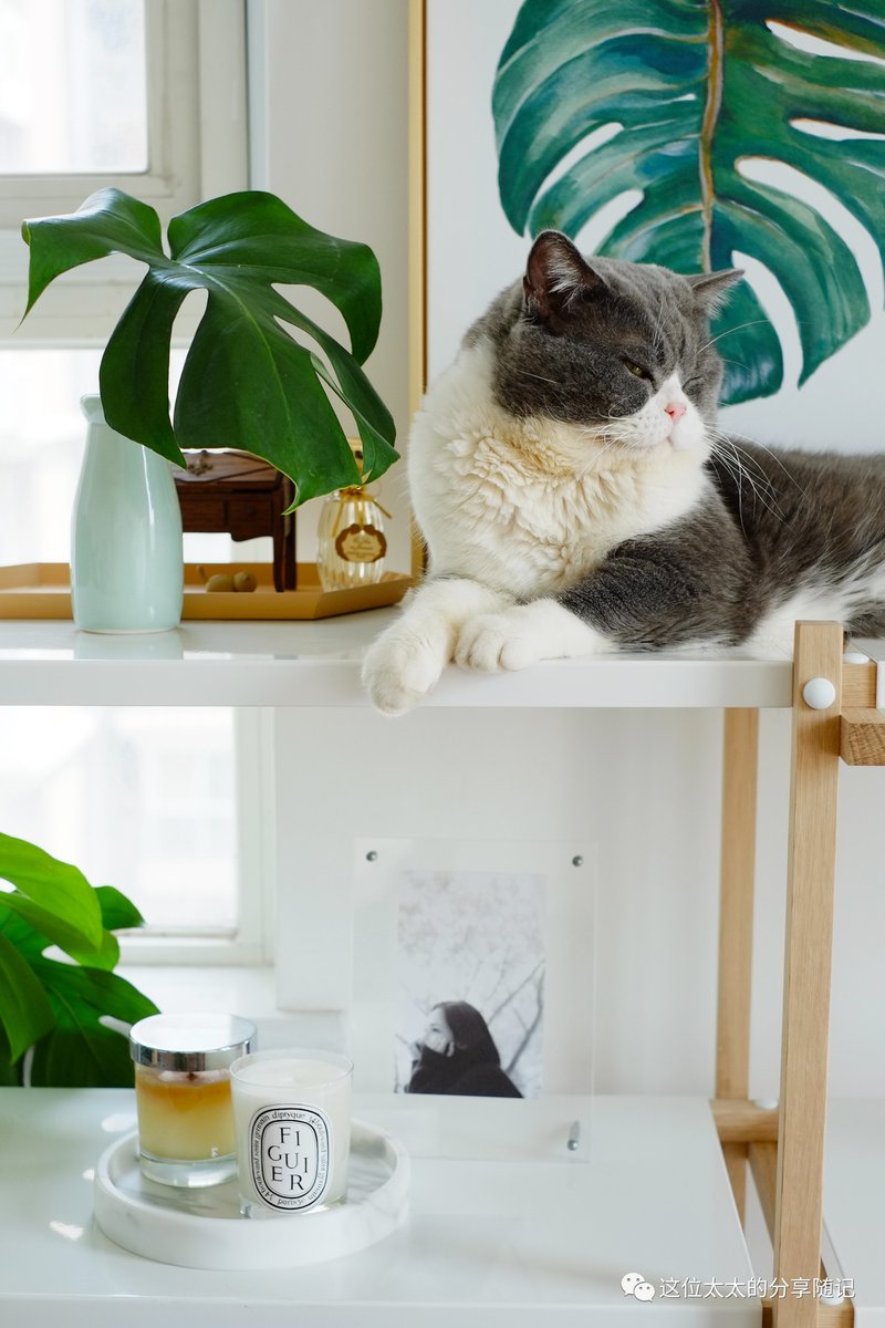 RORSCHCK's tweet image. "Just finished The Little Prince—a gentle reminder that what’s essential is invisible to the eye.  #BookLovers #TimelessWisdom"