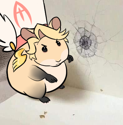 Fluffy (#1 ABEL-IST) tweet media