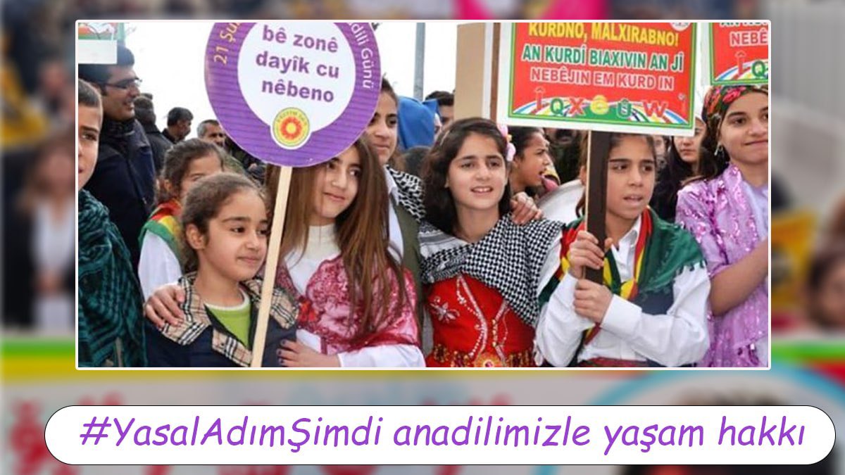 Ayla selim 3 tweet media