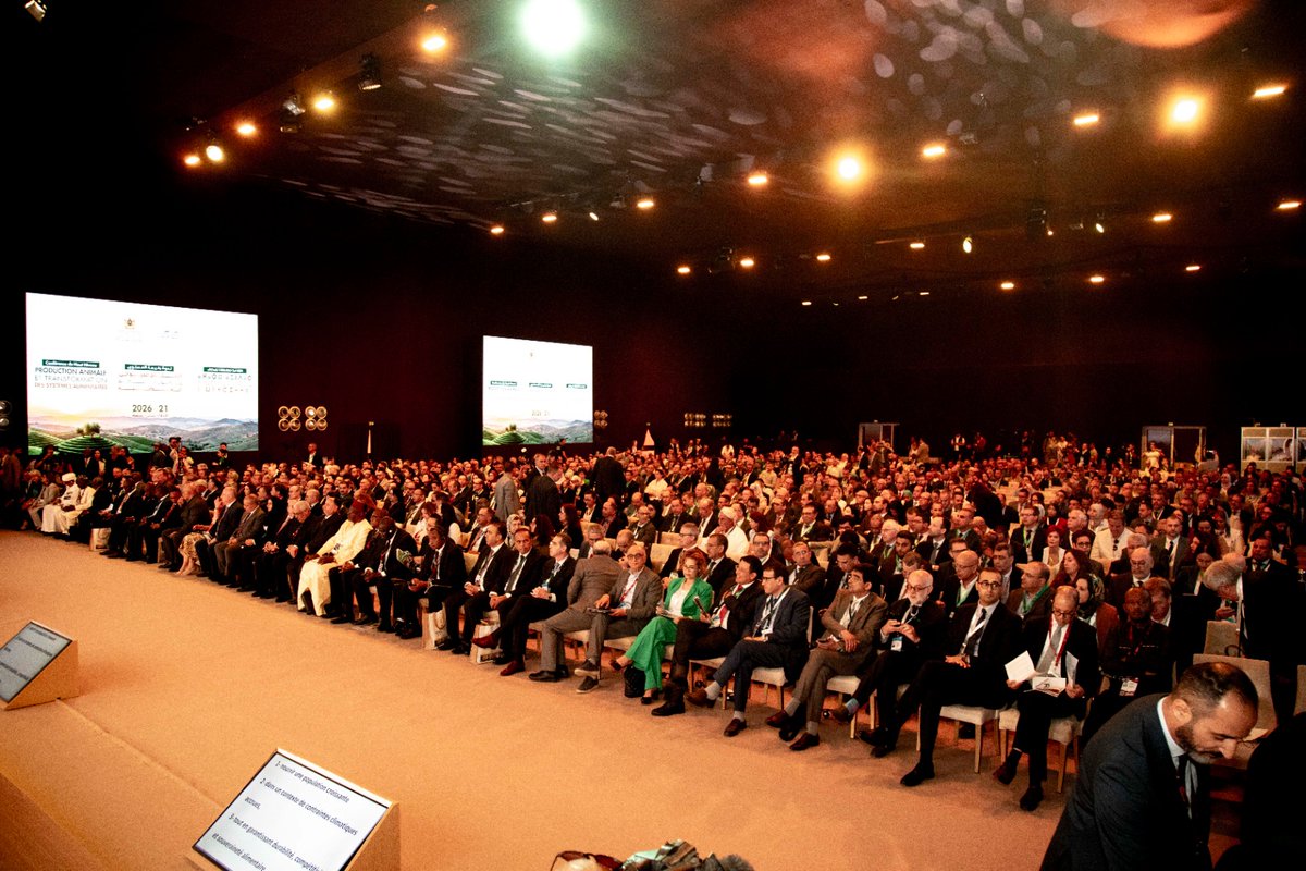 MINADRPV tweet media