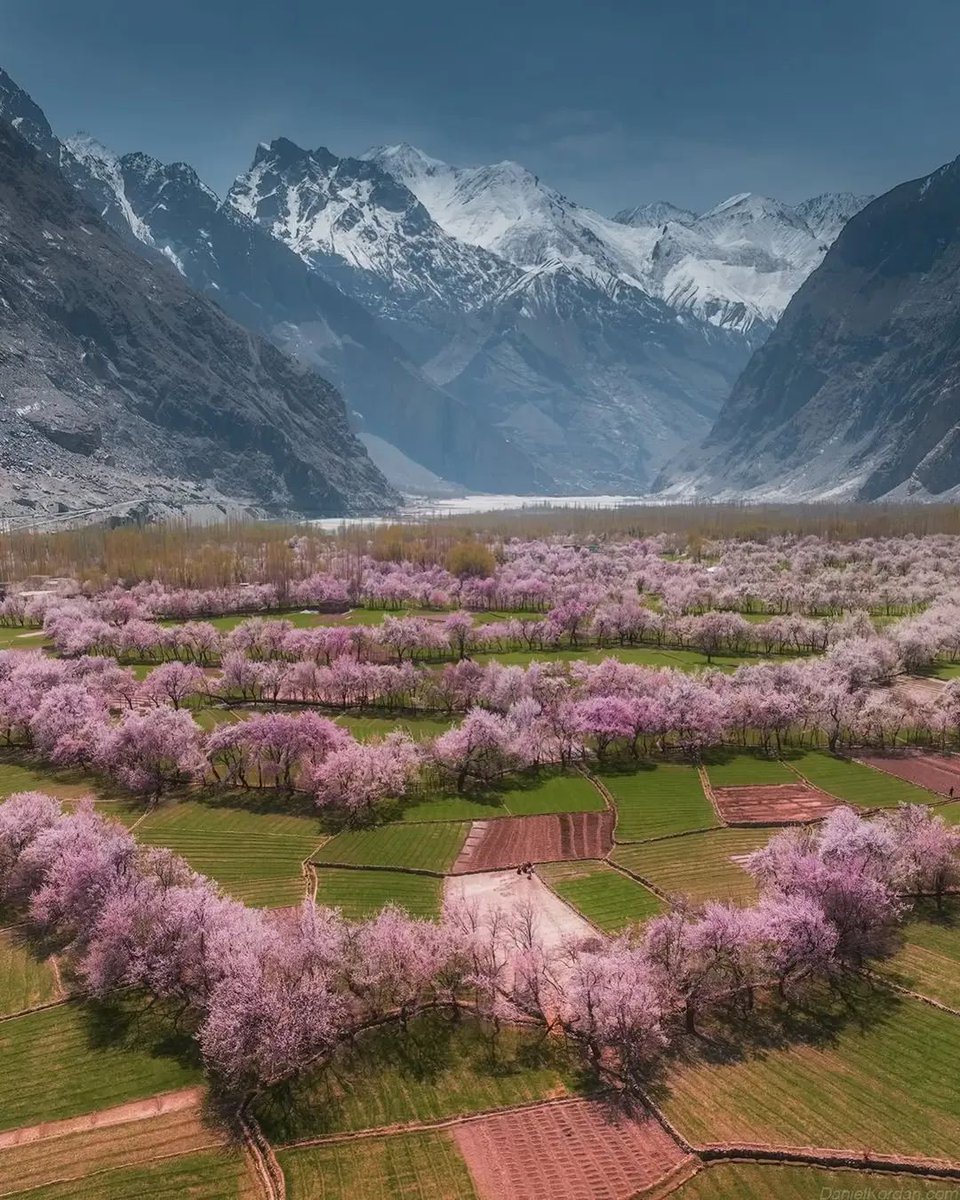 Mariable1909's tweet image. Spring in #Hunza #Pakistan 🌸🌱