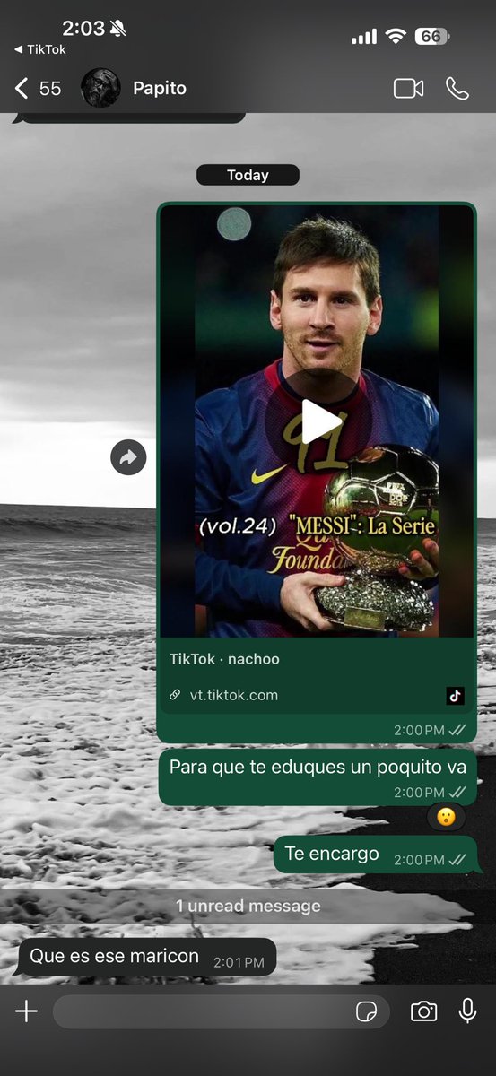 Camposss_luismar tweet media