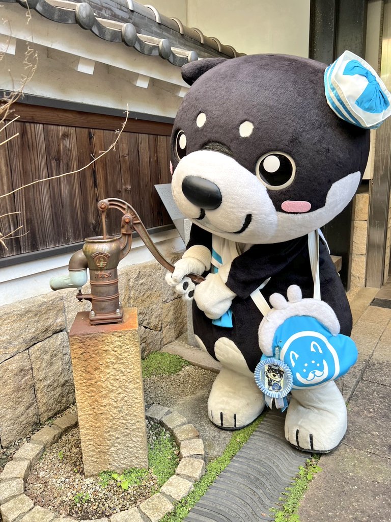 和み柴っこ【公式】 tweet media