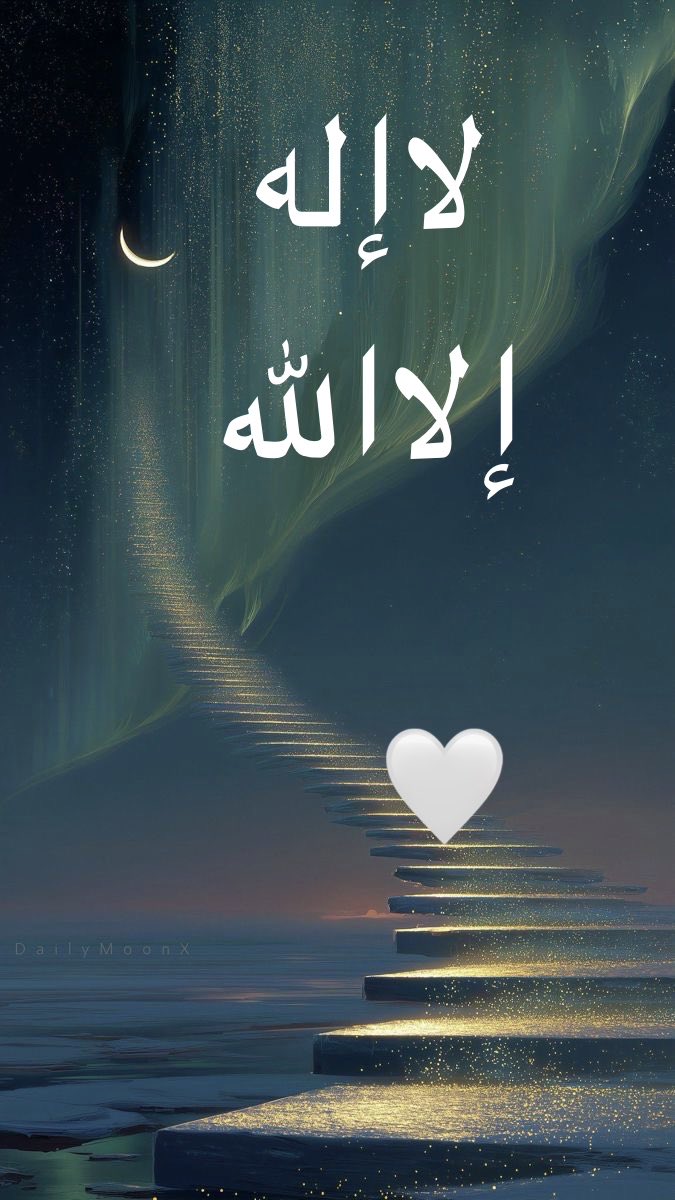 نوال البشري 🇸🇦🌴 tweet media