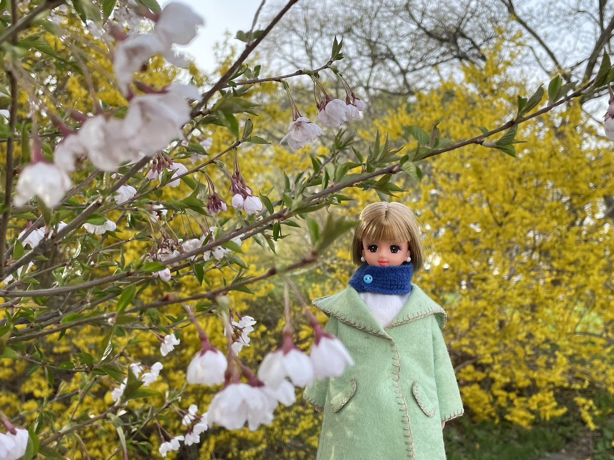 いりす tweet media