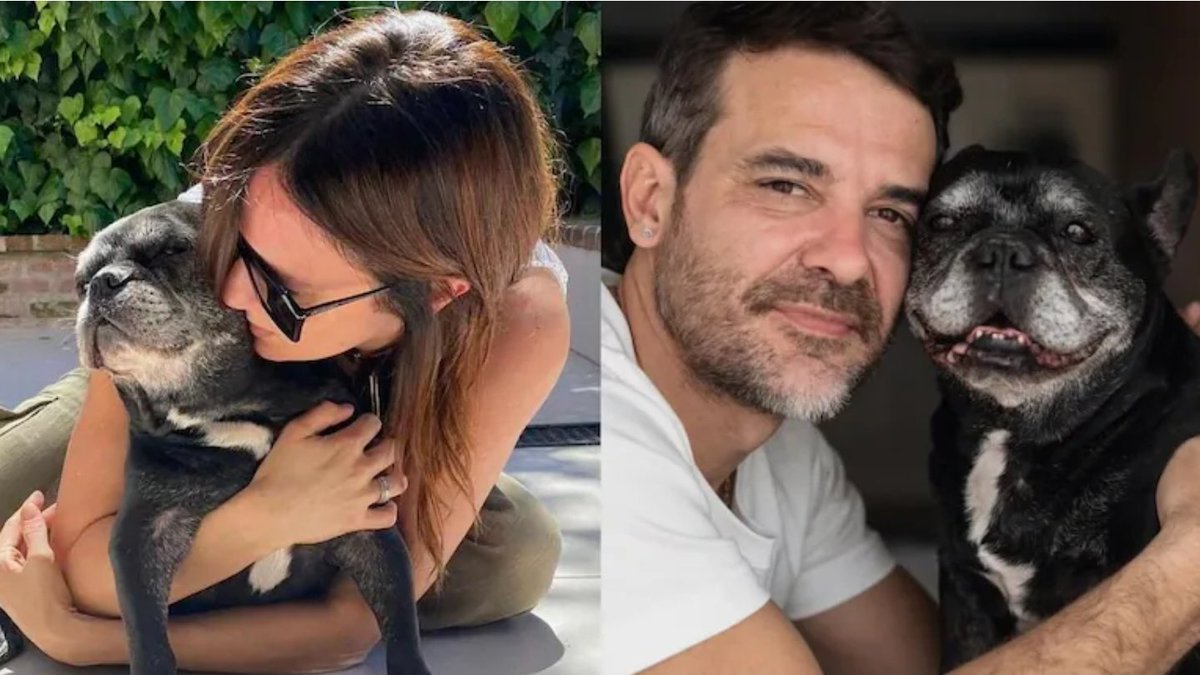 FC_Chuequitas's tweet photo. Moro no era solo un perrito, era parte de su hogar de su amor y de su historia, el amor que les dio Moro va a vivir siempre en ustedes. Nada borra eso ,se fue dejando huellas imborrables en su corazón. Abrazo fuerte en este momento tan triste @paulitachaves
@pedroalfonsoo https://t.co/cjMGmE6jyp