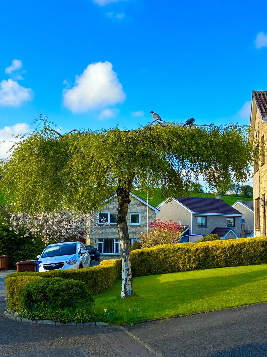 JPAMDG's tweet image. A beautiful evening in #Aberdour #Fife 😎🩵🏴󠁧󠁢󠁳󠁣󠁴󠁿⚓️ ⛵️ Sometimes you just need Vitamin Sea