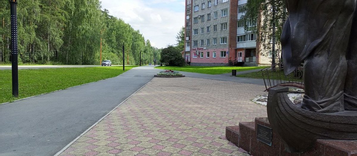 Совушка tweet media